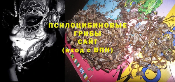 прущий лед Яровое