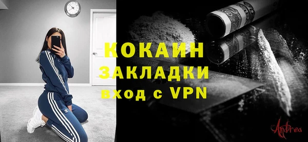 тгк Михайлов