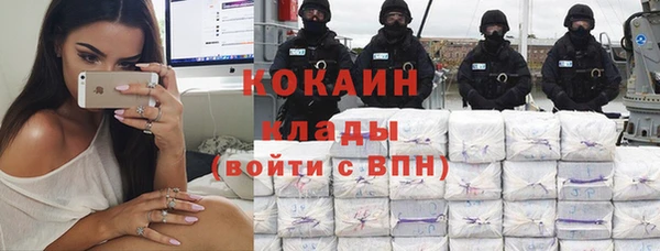 ПСИЛОЦИБИНОВЫЕ ГРИБЫ Михайловск