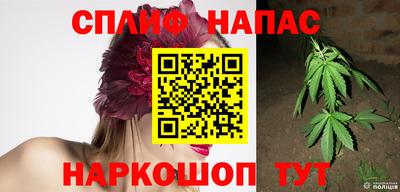 гашик Берёзовский