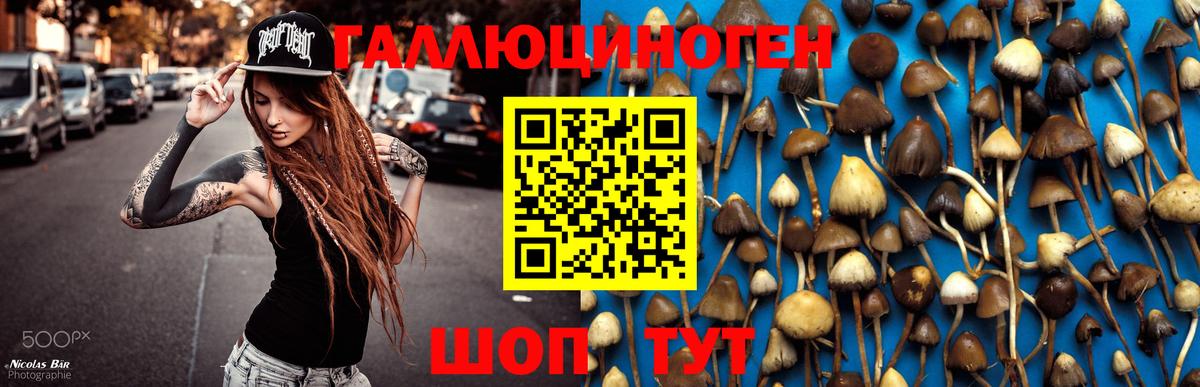 Галлюциногенные грибы Magic Shrooms Чита