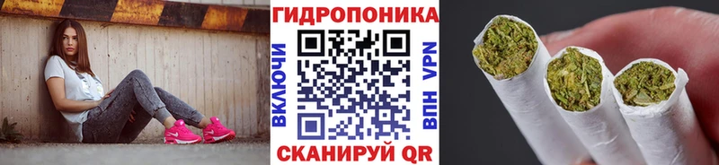 цены наркотик  omg tor  Шишки марихуана Bruce Banner  Чита 